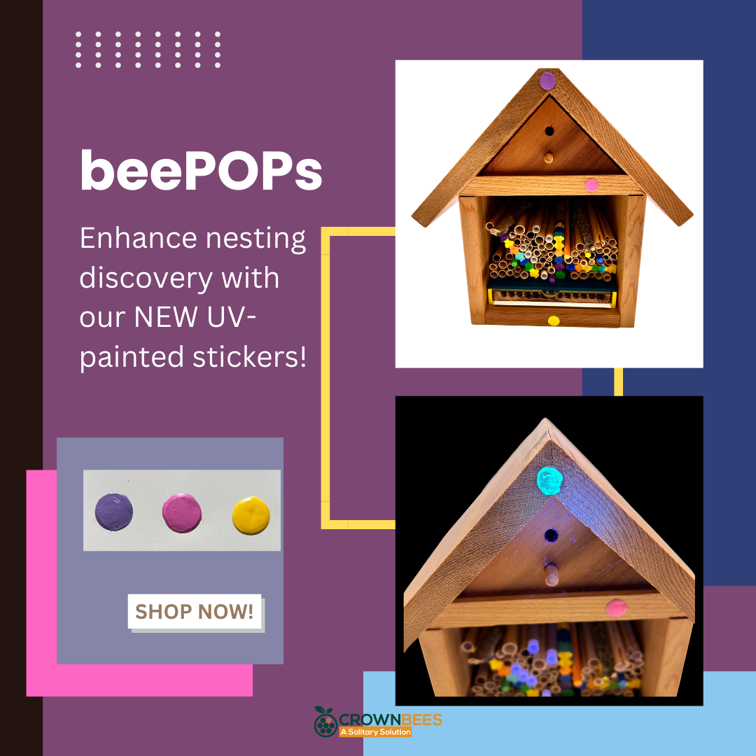 Chalet Cedar Bee House