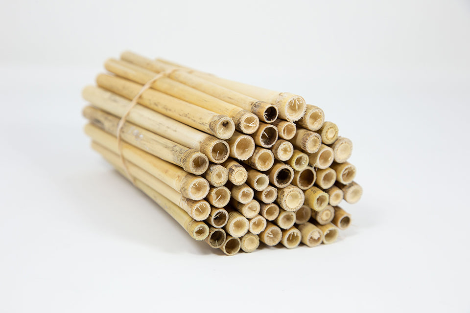 Spring Natural Reeds for Mason Bees - 8mm