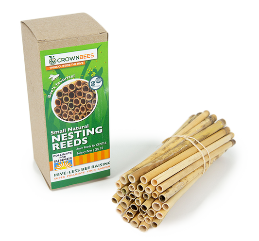 Summer Natural Reeds for Summer Leaf Bees - 6mm