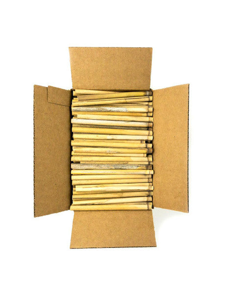 Summer Natural Reeds for Leafcutter Bees - 6mm