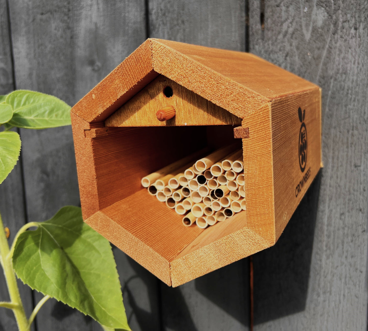 Cabana Bee House & Complete Kit Including Bees