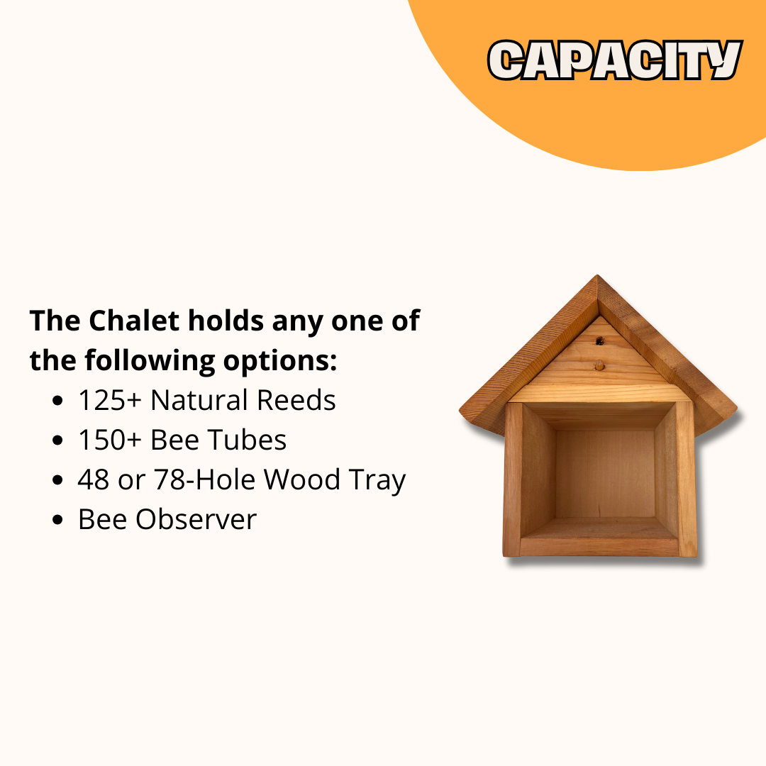 Chalet Cedar Bee House