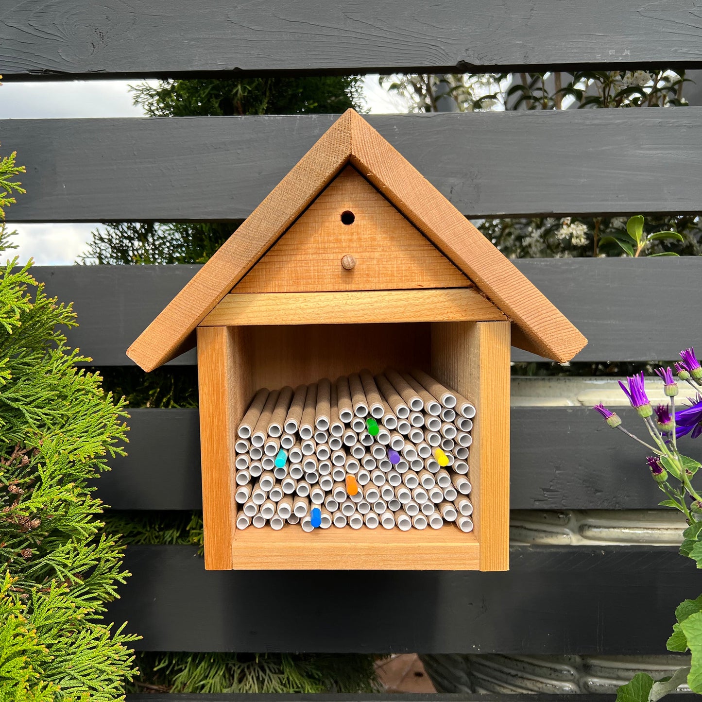 Bee Wayfinders - Mason Bees