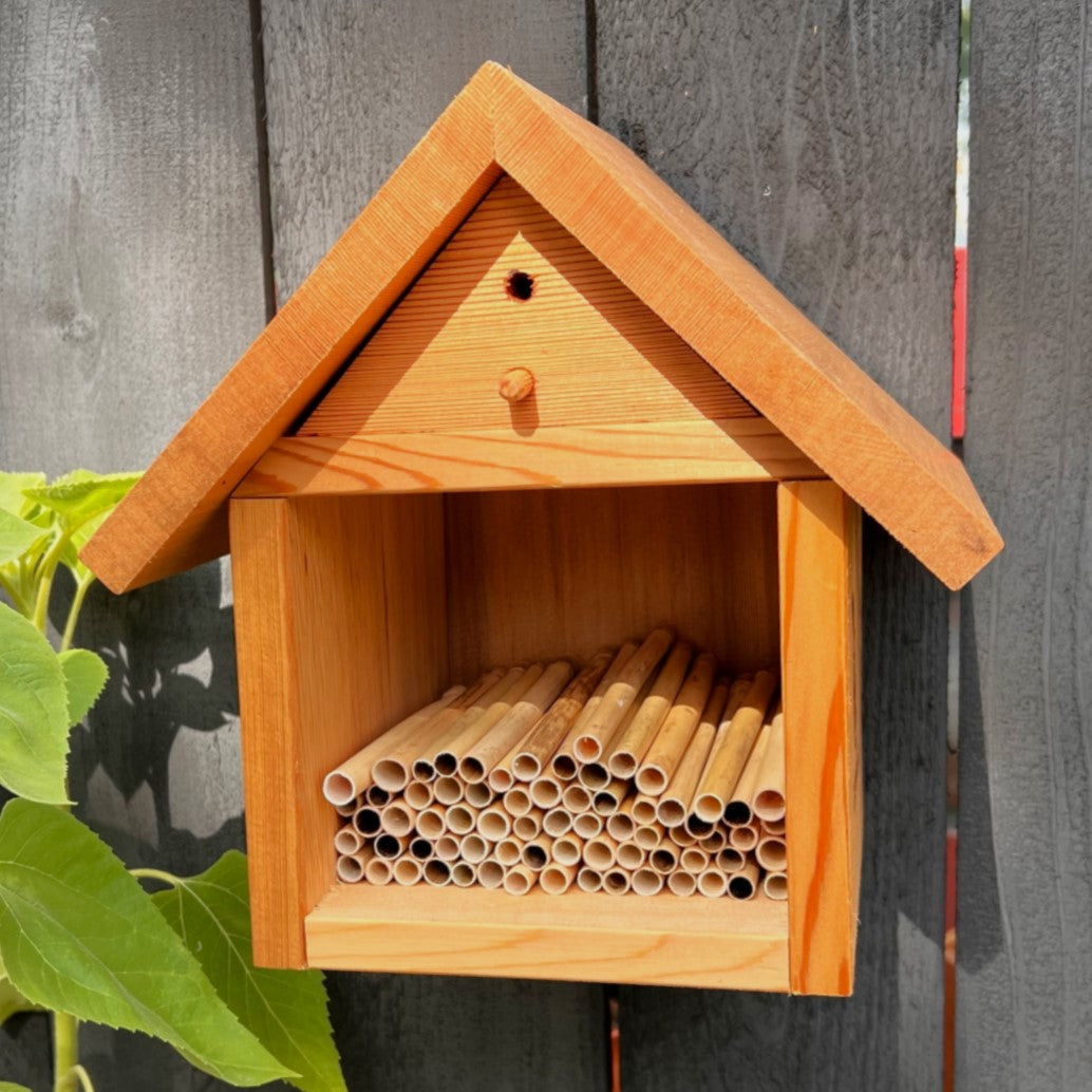 Chalet Bee House & Complete Kit including Bees