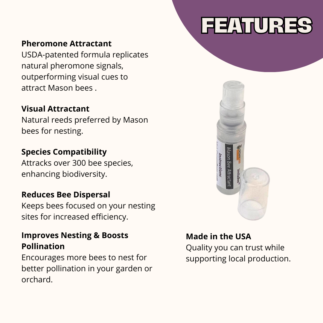 Spring Total Accessories Package for Mason Bees