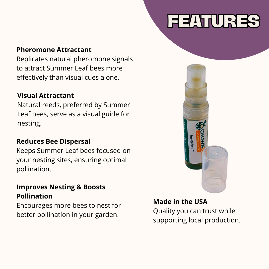 Chalet Bee House & Complete Kit including Bee Certificate