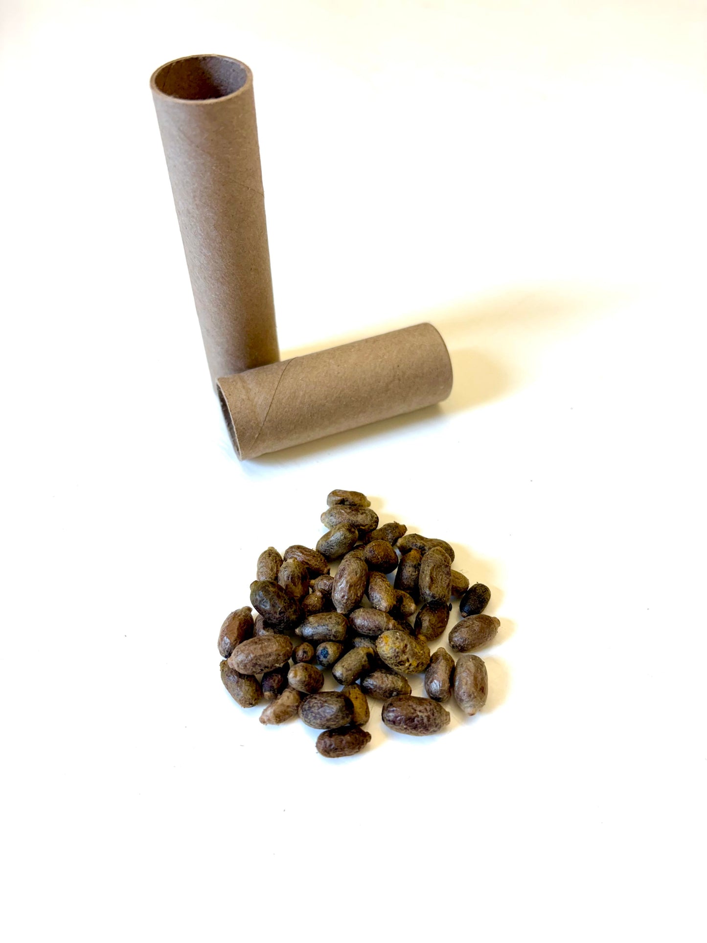 Spring Mason Bees (40ct)