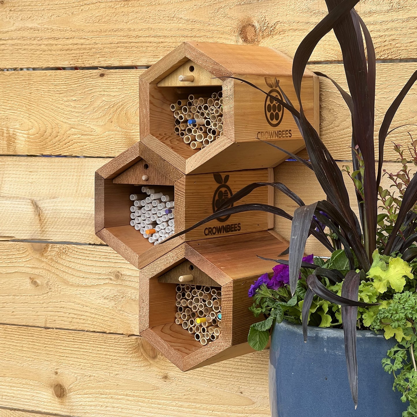 Cabana Bee House & Complete Kit Including Bees