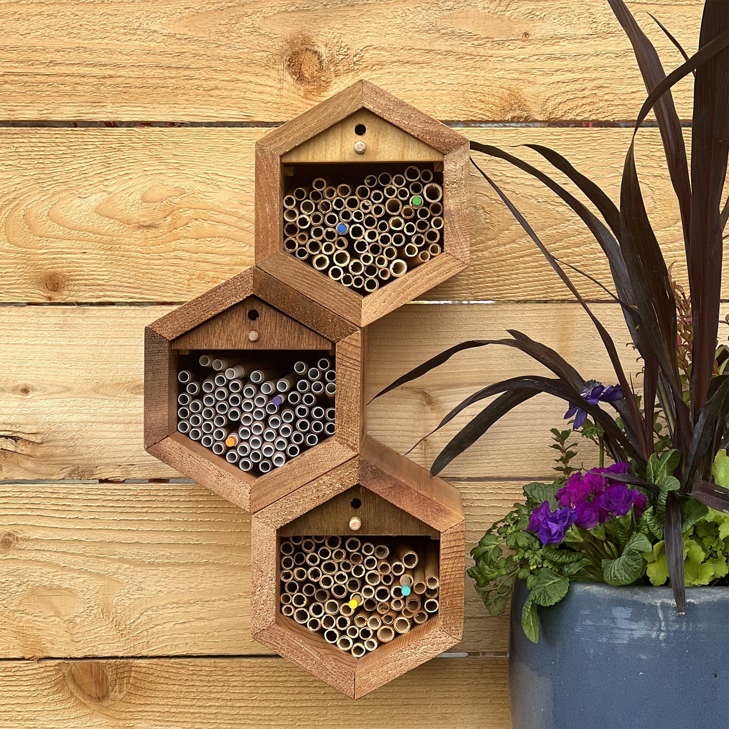 Cabana Bee House - Small Hex