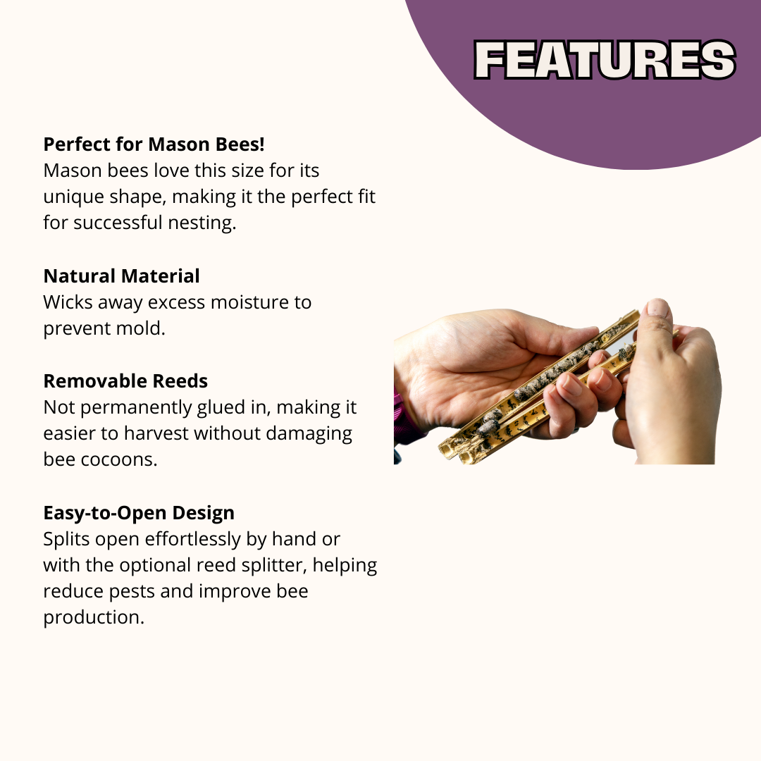 Spring Total Accessories Package for Mason Bees