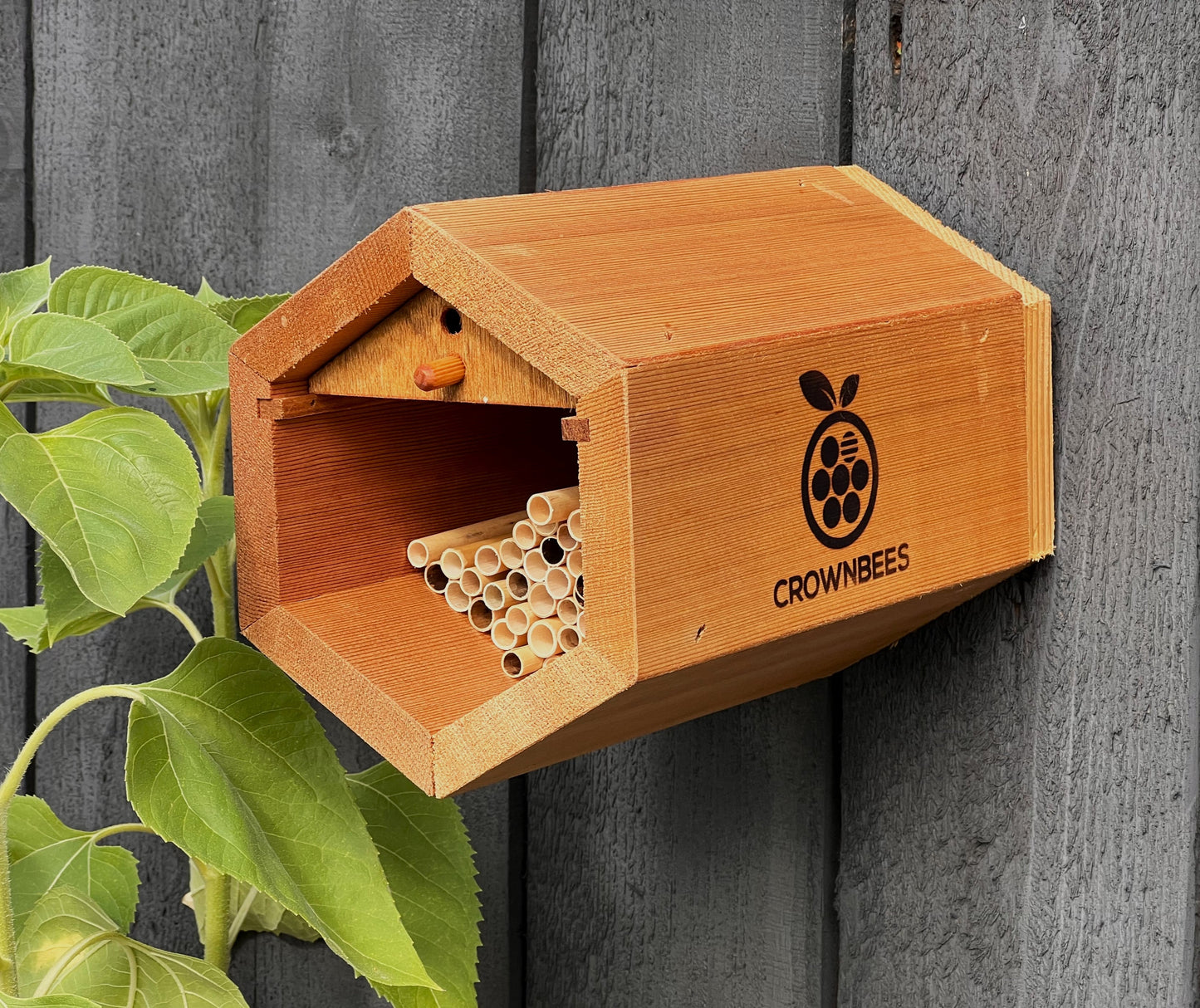 Cabana Bee House & Complete Kit Including Bees