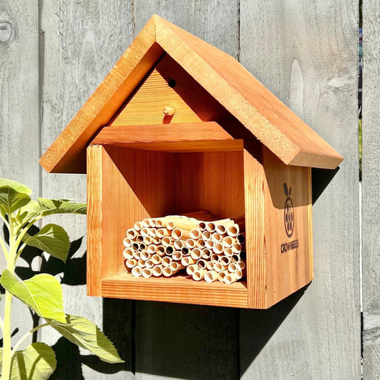 Chalet Bee House & Complete Kit including Bees