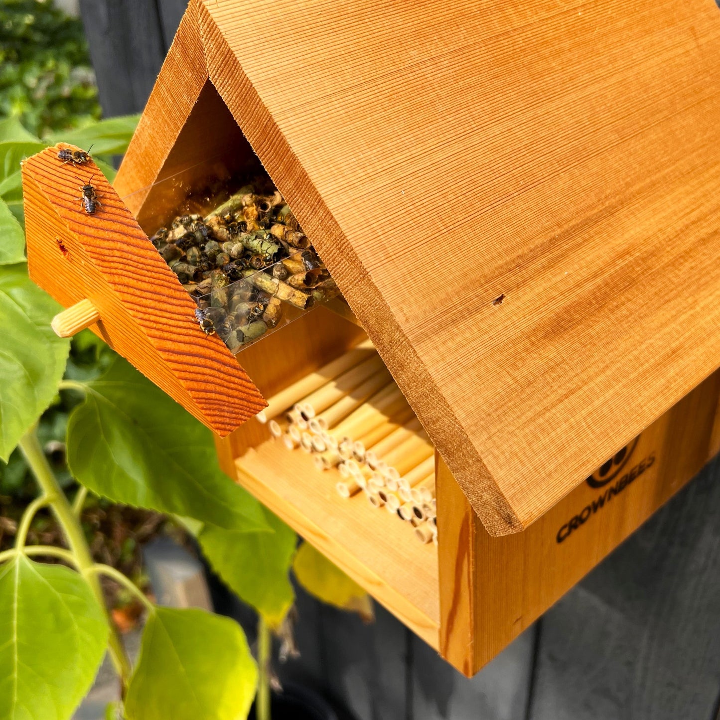 Chalet Bee House & Complete Kit including Bees