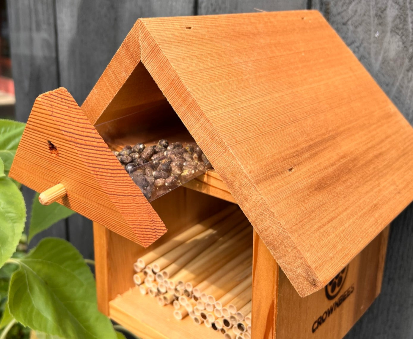 Chalet Bee House & Complete Kit including Bees