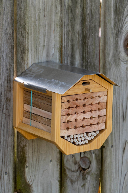 Solitarybee condo shown mounted on a picket fence.