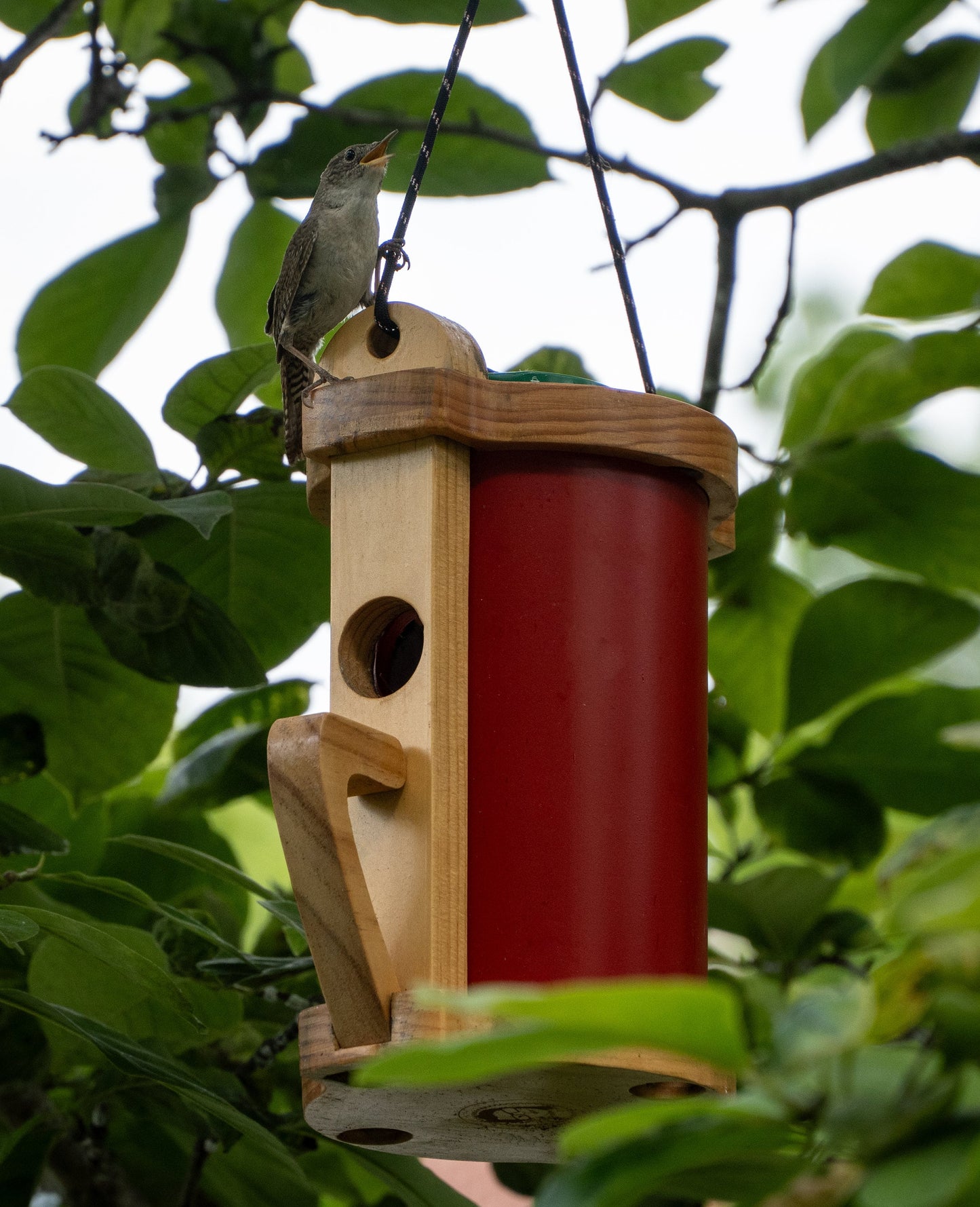 Charming Wren Birdhouse: 'The Mug' – Handcrafted Wood and Upcycled PVC, Featuring Effortless Cleanout