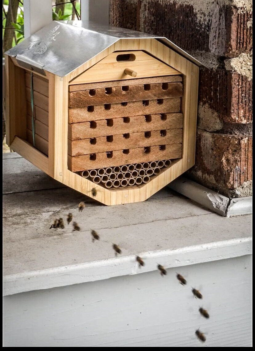 Solitary Native Bee House - Eco-Friendly Bamboo, Cedar, and Etched Aluminum Roof - Perfect for Pollinator Gardens - hand made